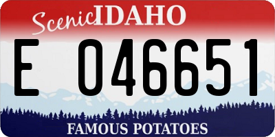 ID license plate E046651