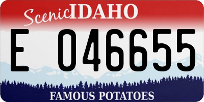 ID license plate E046655