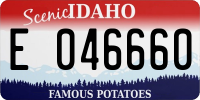 ID license plate E046660