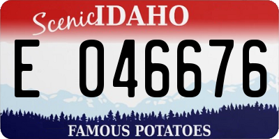 ID license plate E046676