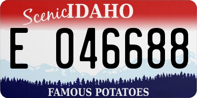 ID license plate E046688