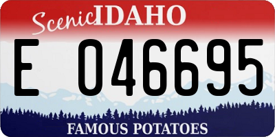 ID license plate E046695