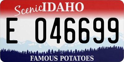 ID license plate E046699