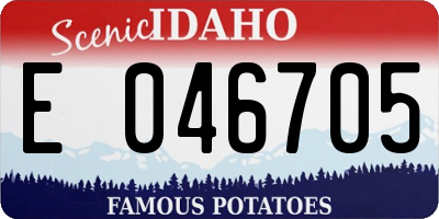 ID license plate E046705