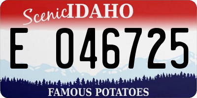 ID license plate E046725