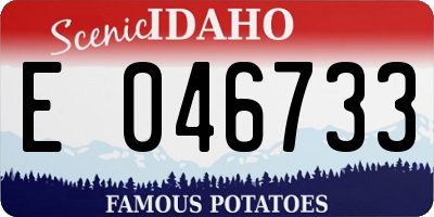 ID license plate E046733