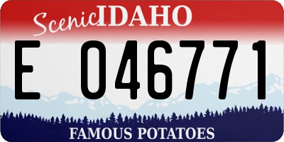 ID license plate E046771