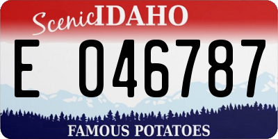 ID license plate E046787