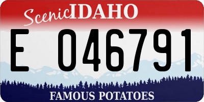 ID license plate E046791