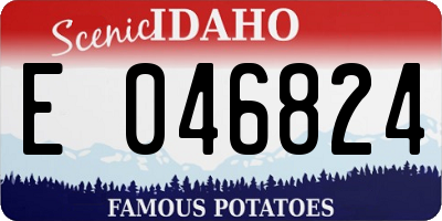 ID license plate E046824