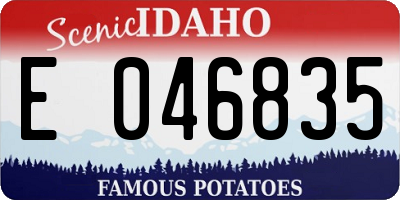 ID license plate E046835