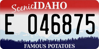 ID license plate E046875