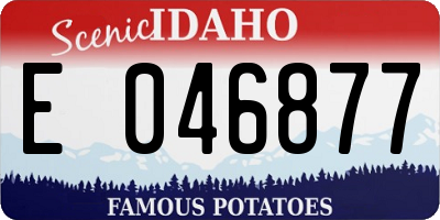 ID license plate E046877