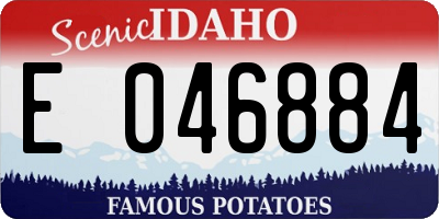 ID license plate E046884