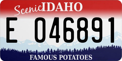 ID license plate E046891