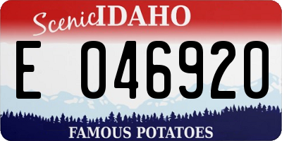ID license plate E046920