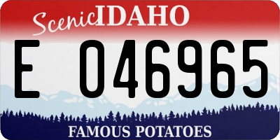 ID license plate E046965