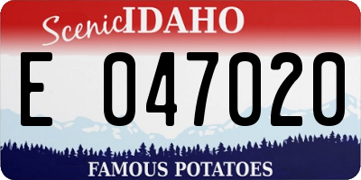ID license plate E047020