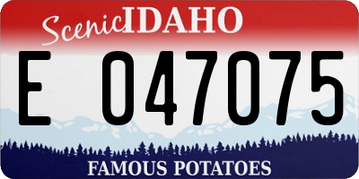 ID license plate E047075