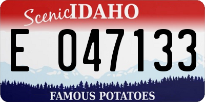 ID license plate E047133