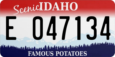 ID license plate E047134