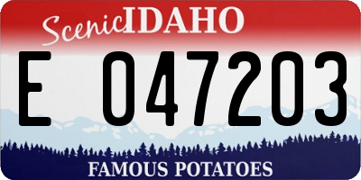 ID license plate E047203