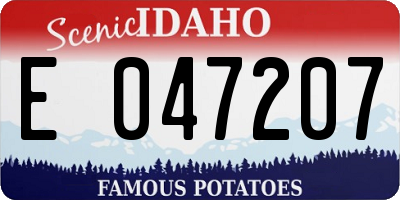 ID license plate E047207