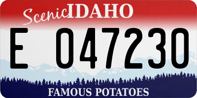 ID license plate E047230