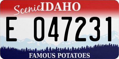 ID license plate E047231