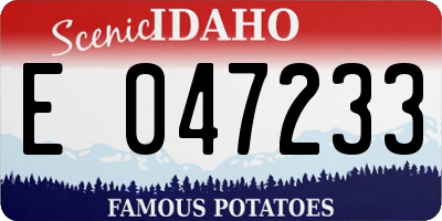 ID license plate E047233