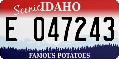 ID license plate E047243