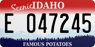 ID license plate E047245