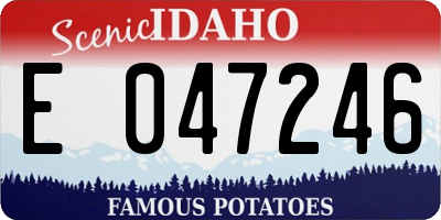 ID license plate E047246
