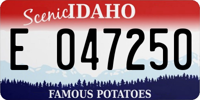 ID license plate E047250