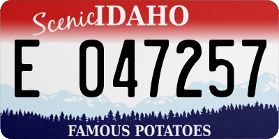 ID license plate E047257