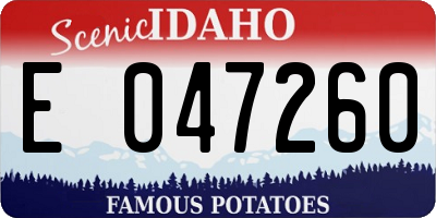 ID license plate E047260