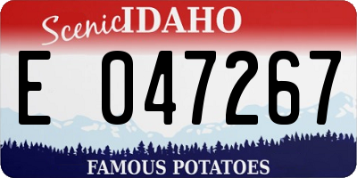 ID license plate E047267