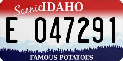 ID license plate E047291