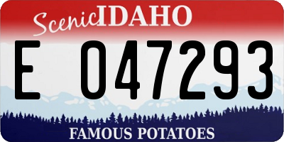 ID license plate E047293