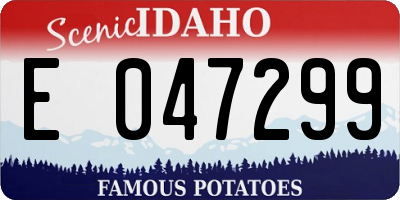 ID license plate E047299