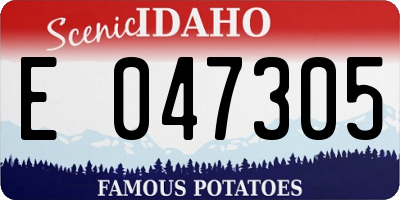 ID license plate E047305