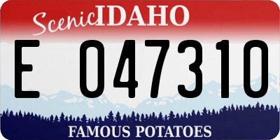 ID license plate E047310
