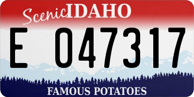 ID license plate E047317