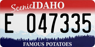 ID license plate E047335