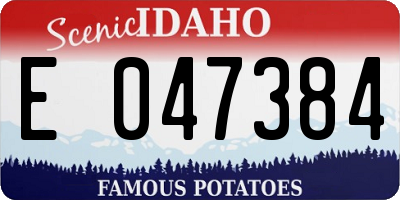 ID license plate E047384