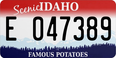 ID license plate E047389
