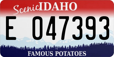 ID license plate E047393