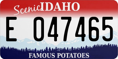 ID license plate E047465