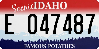 ID license plate E047487