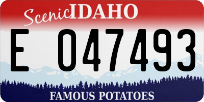 ID license plate E047493
